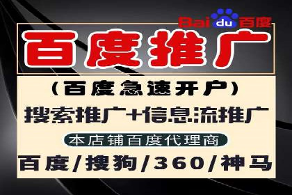 SEM搜索引擎优化成功案例，揭示优化策略与技巧